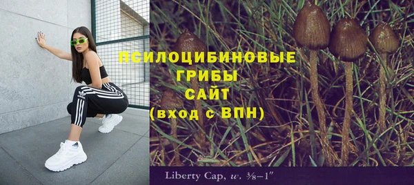 мет Ладушкин