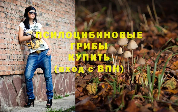 spice Кукмор