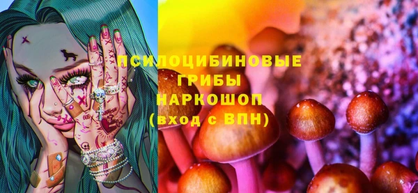 spice Кукмор