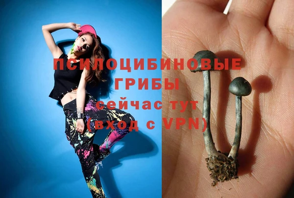 эйфоретик Краснотурьинск
